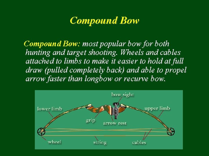 Compound Bow: most popular bow for both hunting and target shooting. Wheels and cables