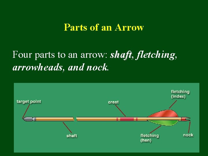 Parts of an Arrow Four parts to an arrow: shaft, fletching, arrowheads, and nock.
