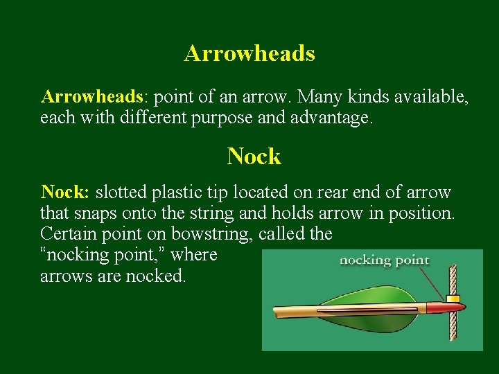 Arrowheads: point of an arrow. Many kinds available, each with different purpose and advantage.