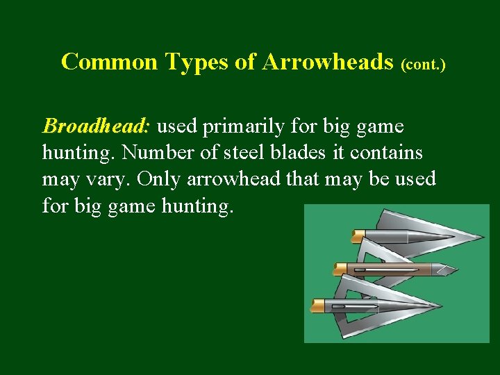 Common Types of Arrowheads (cont. ) Broadhead: used primarily for big game hunting. Number