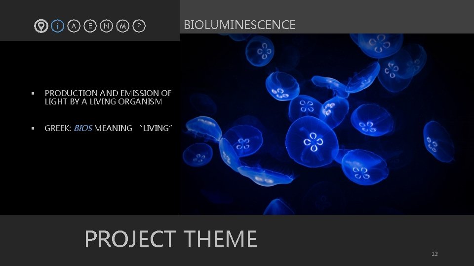 BIOLUMINESCENCE § PRODUCTION AND EMISSION OF LIGHT BY A LIVING ORGANISM § GREEK: BIOS