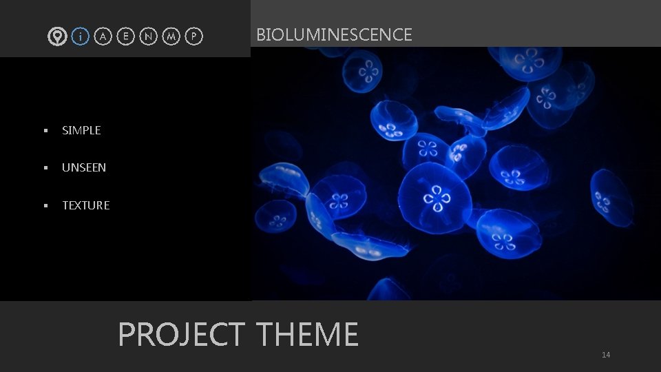 BIOLUMINESCENCE § SIMPLE § UNSEEN § TEXTURE PROJECT THEME 14 