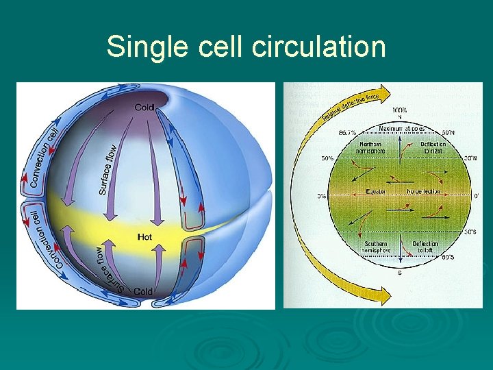 Single cell circulation 