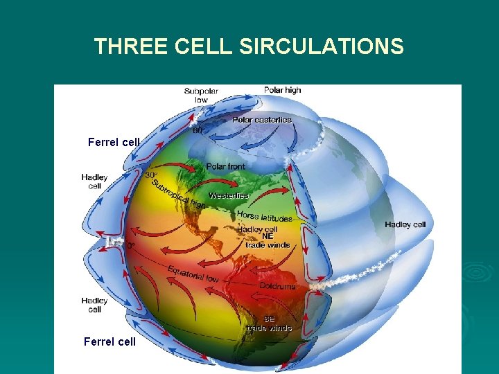 THREE CELL SIRCULATIONS Ferrel cell 