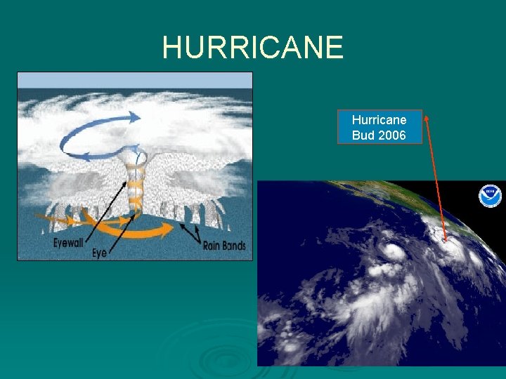 HURRICANE Hurricane Bud 2006 