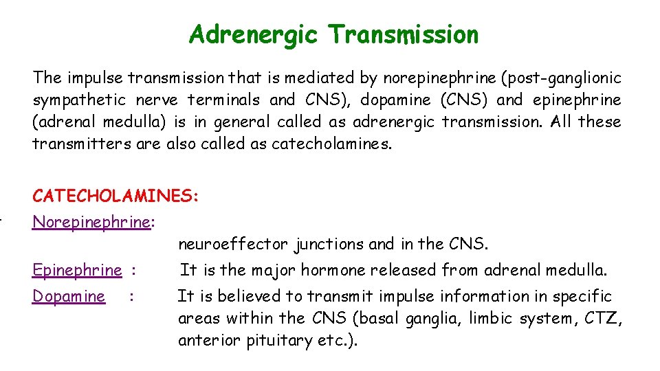 t Adrenergic Transmission The impulse transmission that is mediated by norepinephrine (post-ganglionic sympathetic nerve