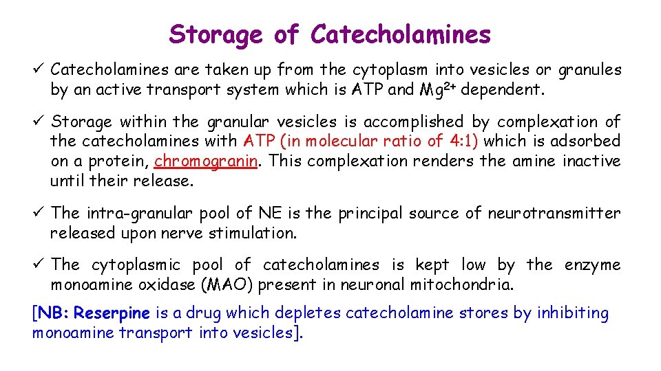 Storage of Catecholamines ü Catecholamines are taken up from the cytoplasm into vesicles or