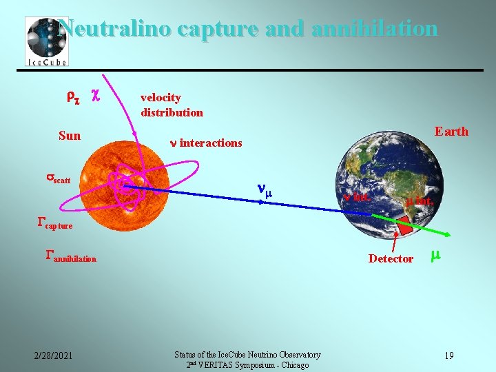 Neutralino capture and annihilation rc c Sun sscatt velocity distribution Earth interactions m int.