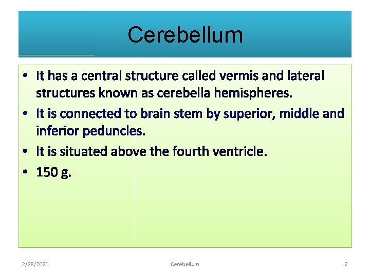 Cerebellum • It has a central structure called vermis and lateral structures known as
