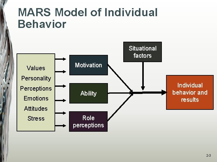 MARS Model of Individual Behavior Situational factors Values Motivation Personality Perceptions Emotions Ability Individual