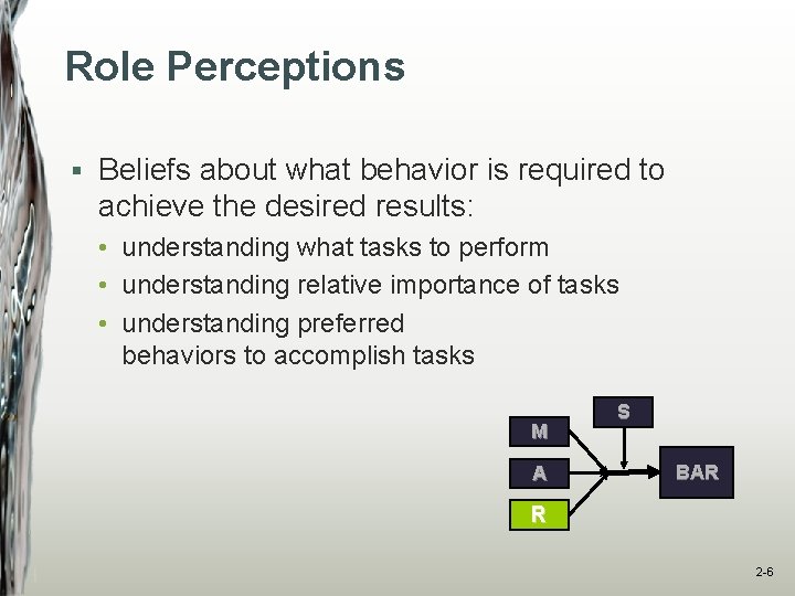 Role Perceptions § Beliefs about what behavior is required to achieve the desired results: