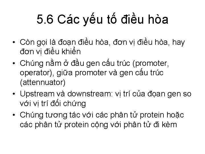 5. 6 Các yếu tố điều hòa • Còn gọi là đoạn điều hòa,