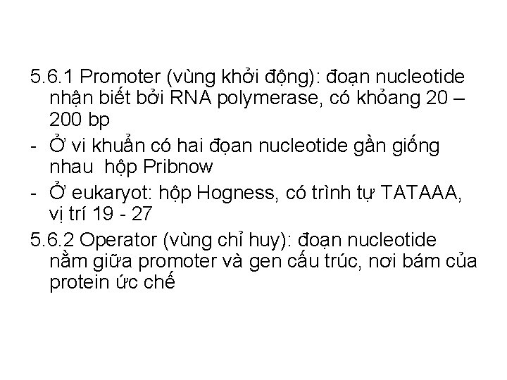 5. 6. 1 Promoter (vùng khởi động): đoạn nucleotide nhận biết bởi RNA polymerase,