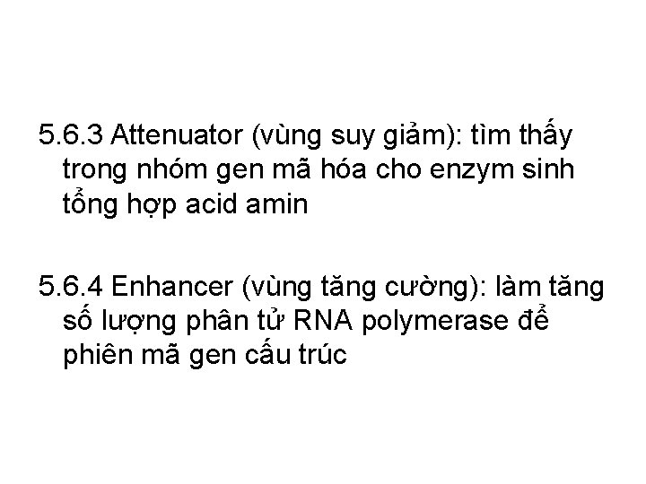 5. 6. 3 Attenuator (vùng suy giảm): tìm thấy trong nhóm gen mã hóa