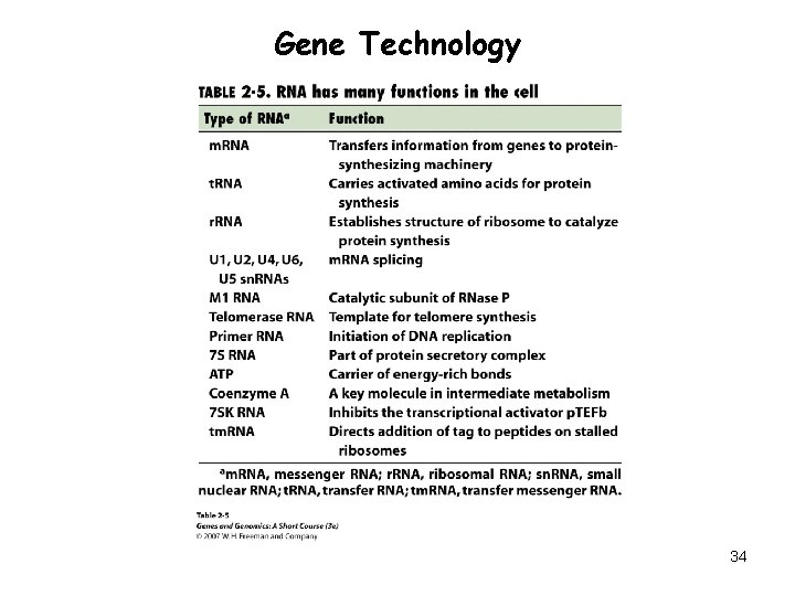 Gene Technology 34 