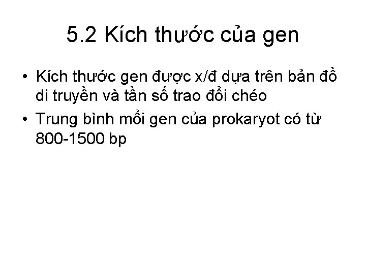 5. 2 Kích thước của gen • Kích thước gen được x/đ dựa trên