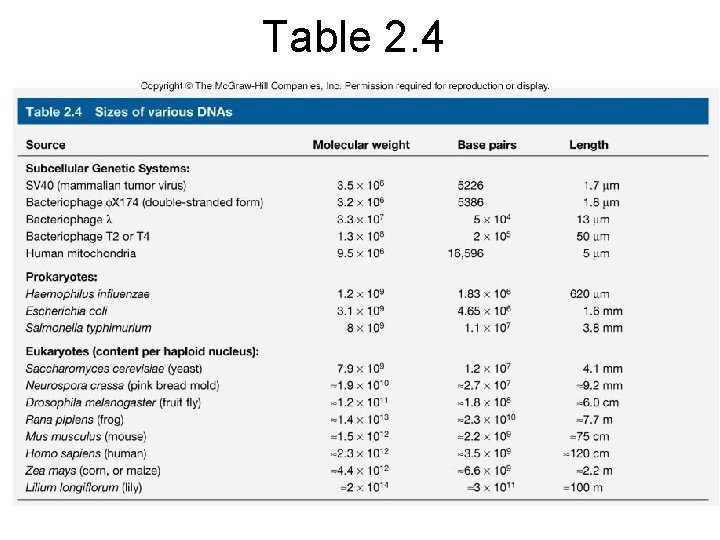 Table 2. 4 