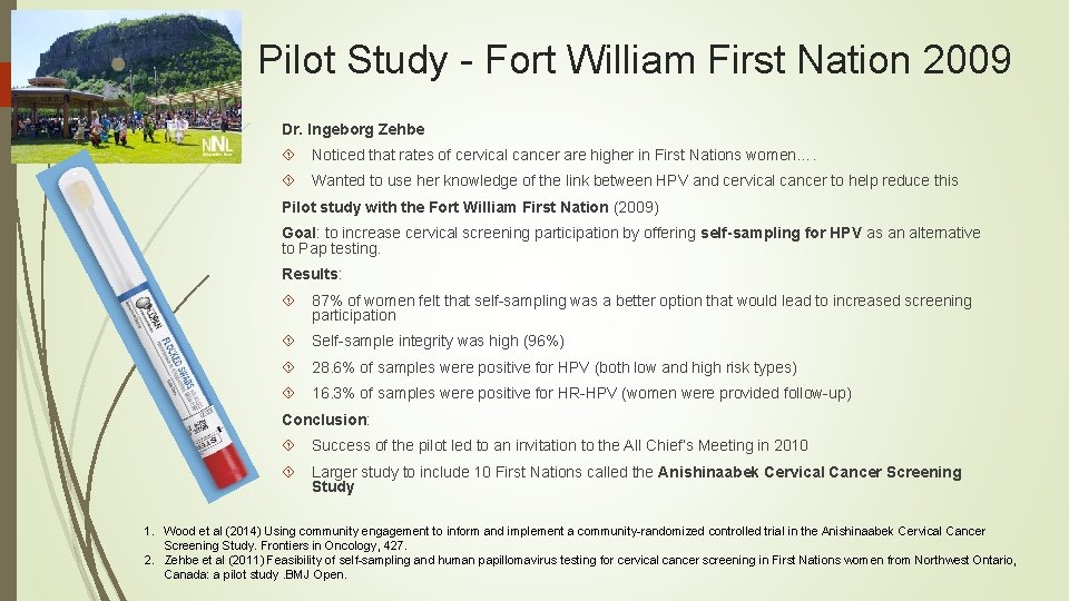 Pilot Study - Fort William First Nation 2009 Dr. Ingeborg Zehbe Noticed that rates