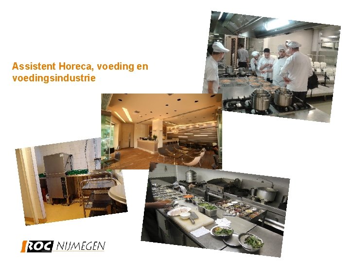 Assistent Horeca, voeding en voedingsindustrie 