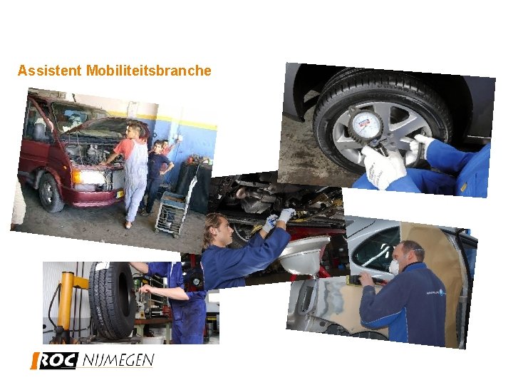 Assistent Mobiliteitsbranche 