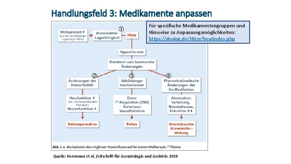 Handlungsfeld 3: Medikamente anpassen Für spezifische Medikamentengruppen und Hinweise zu Anpassungsmöglichkeiten: https: //dosing. de/Hitze/heatindex.