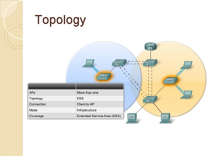 Topology 