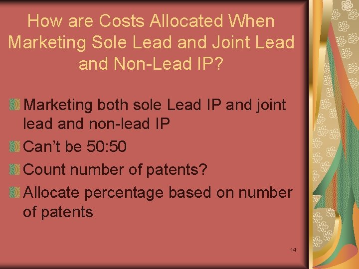 How are Costs Allocated When Marketing Sole Lead and Joint Lead and Non-Lead IP?