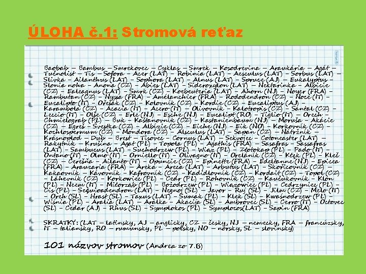 ÚLOHA č. 1: Stromová reťaz � � Baobab – Bambus – Smrekovec – Cyklas