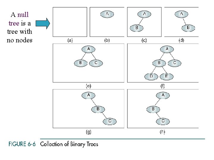 A null tree is a tree with no nodes 16 