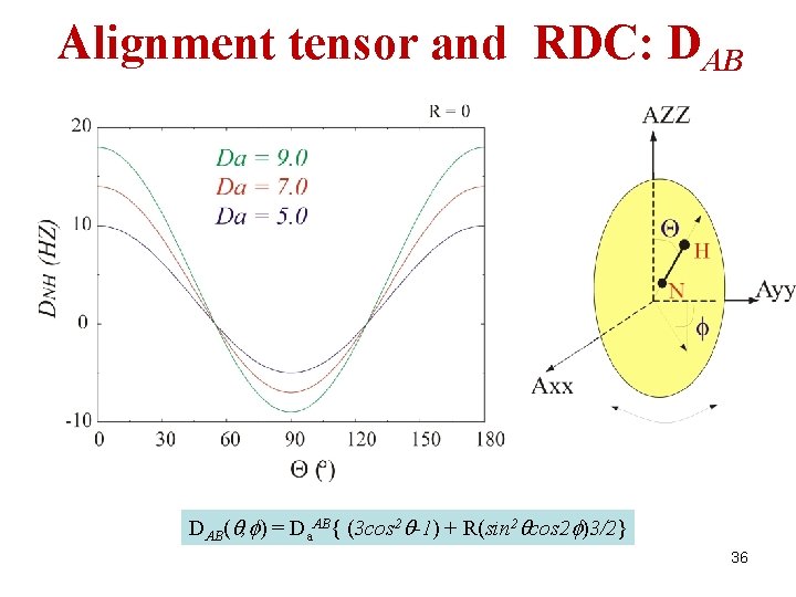 Alignment tensor and RDC: DAB(q, f) = Da. AB{ (3 cos 2 q-1) +