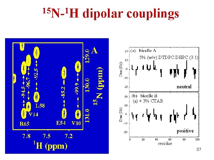 15 N-1 H dipolar couplings A 5% (w/v) DTDPC: DHPC (3: 1) neutral (a)