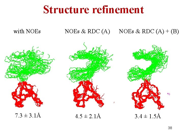 Structure refinement with NOEs & RDC (A) + (B) 7. 3 ± 3. 1Å