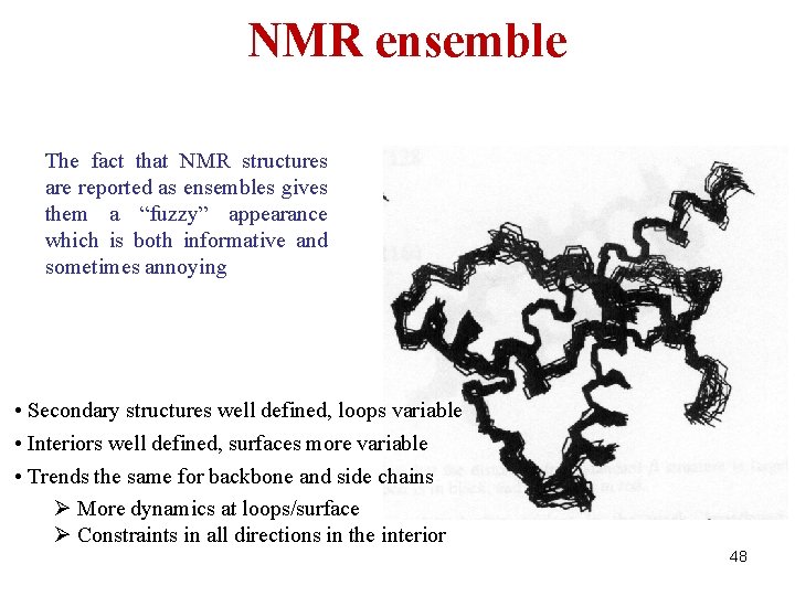 NMR ensemble The fact that NMR structures are reported as ensembles gives them a