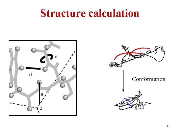 Structure calculation Conformation 8 