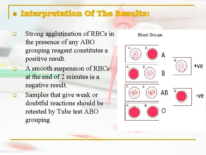 n q q q Interpretation Of The Results: Strong agglutination of RBCs in the