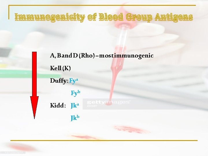Immunogenicity of Blood Group Antigens A, B and D (Rho) – most immunogenic Kell