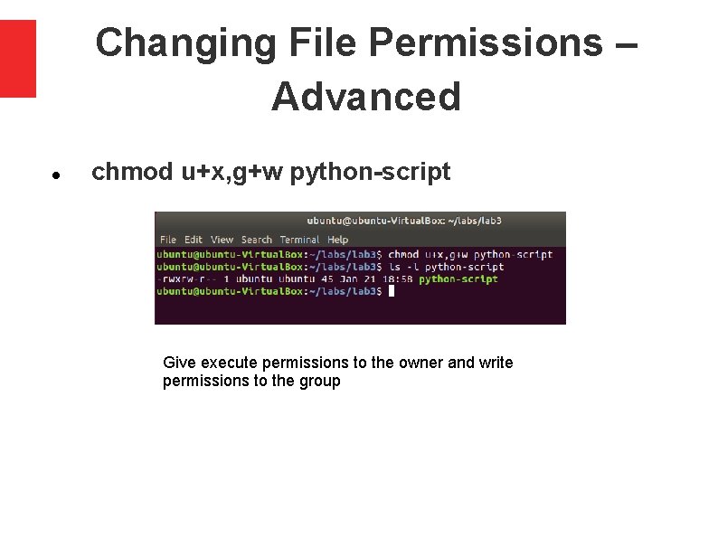 Changing File Permissions – Advanced chmod u+x, g+w python-script Give execute permissions to the