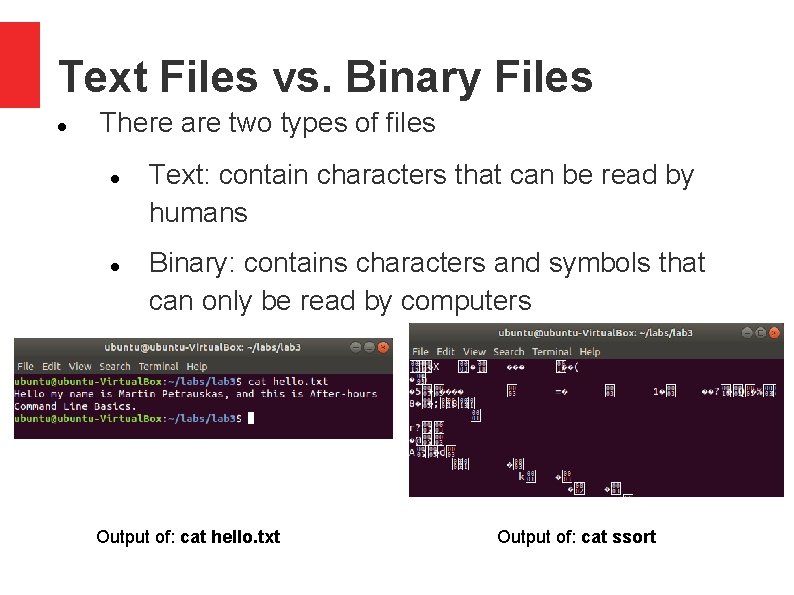 Text Files vs. Binary Files There are two types of files Text: contain characters