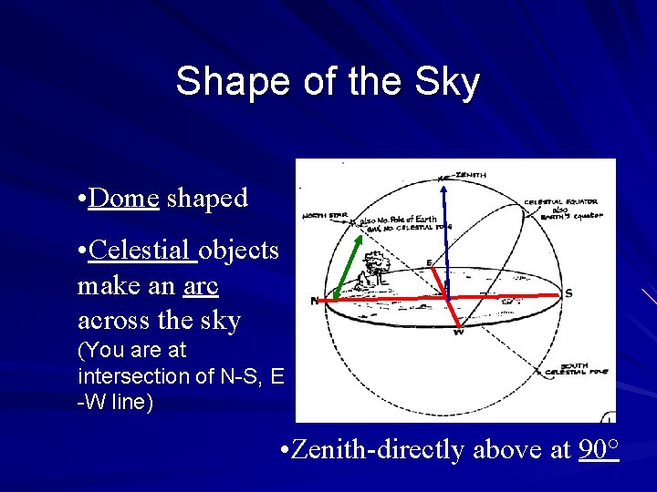 Shape of the Sky • Dome shaped • Celestial objects make an arc across