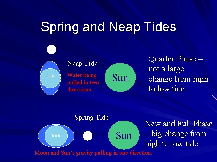 Spring and Neap Tides Neap Tide Earth Water being pulled in two directions. Sun