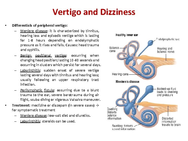 Vertigo and Dizziness • • Differentials of peripheral vertigo: – Meniere disease: it is