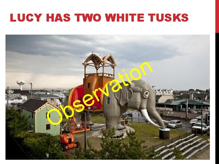LUCY HAS TWO WHITE TUSKS O s b v r e t a n