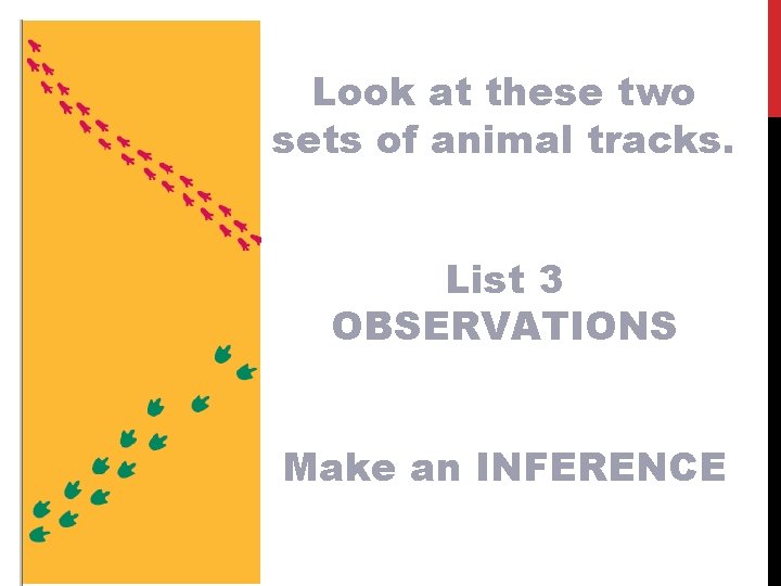 Look at these two sets of animal tracks. List 3 OBSERVATIONS Make an INFERENCE