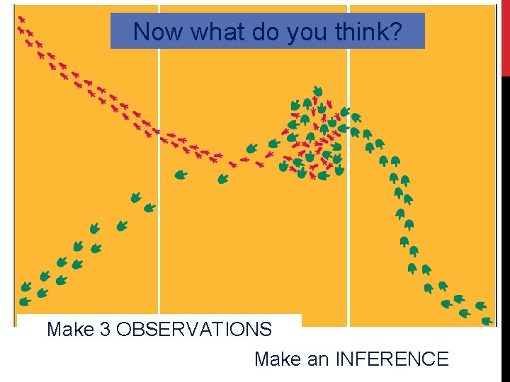 Now what do you think? Make 3 OBSERVATIONS Make an INFERENCE 
