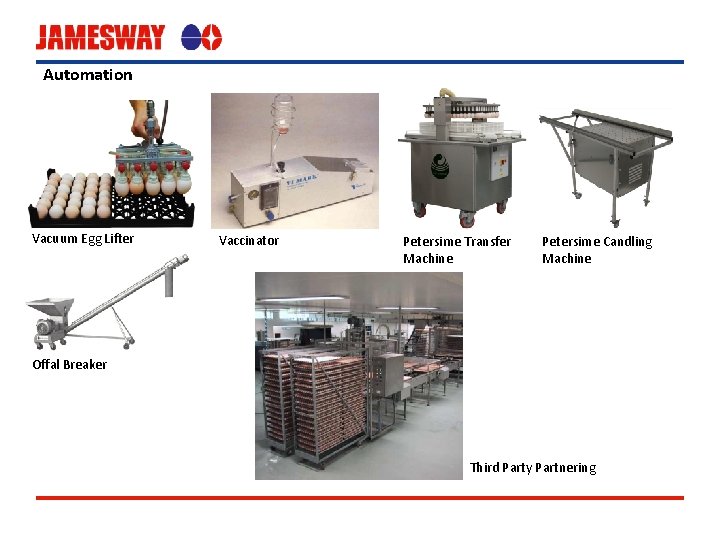 Automation Vacuum Egg Lifter Vaccinator Petersime Transfer Machine Petersime Candling Machine Offal Breaker Third