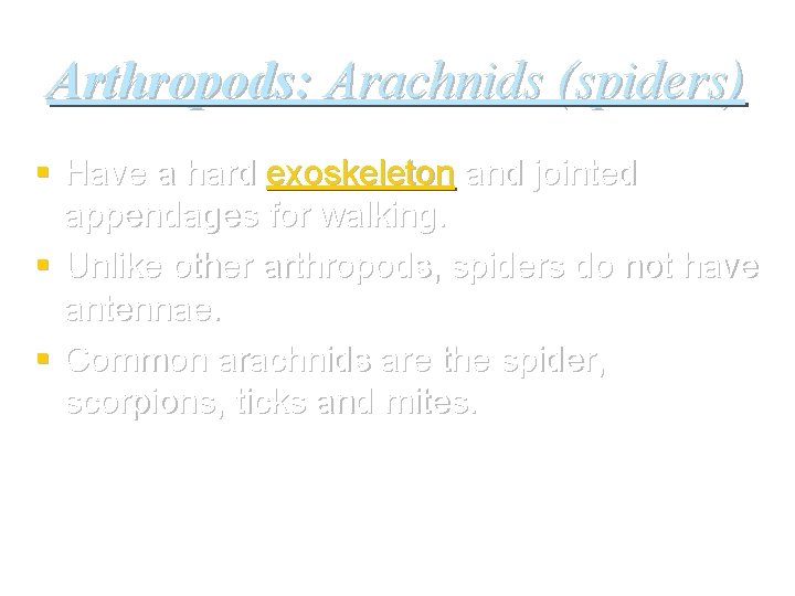Arthropods: Arachnids (spiders) § Have a hard exoskeleton and jointed appendages for walking. §