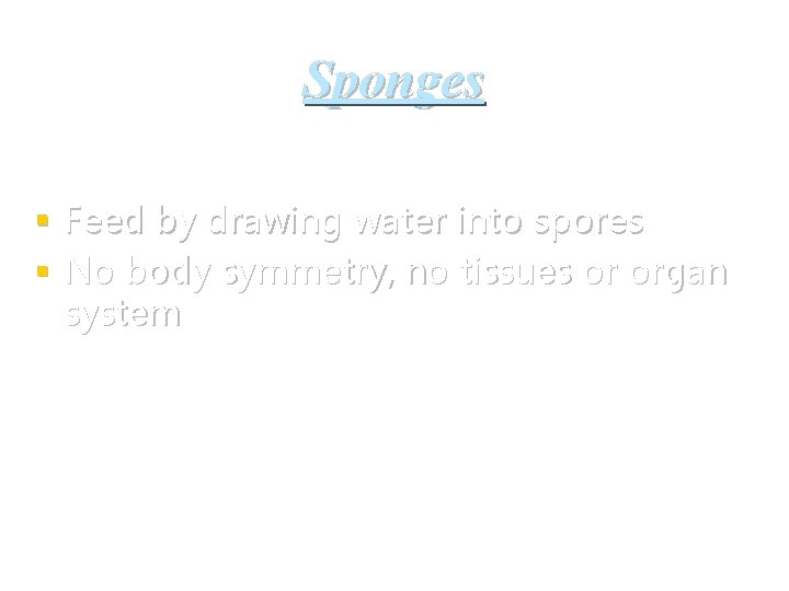 Sponges § Feed by drawing water into spores § No body symmetry, no tissues