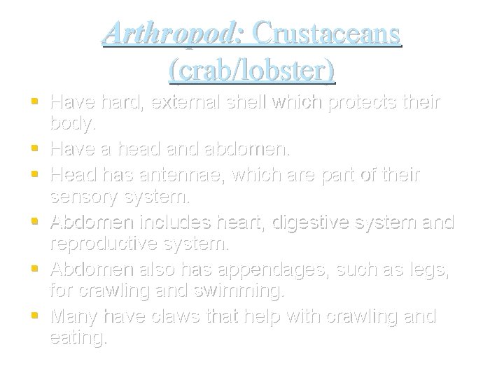 Arthropod: Crustaceans (crab/lobster) § Have hard, external shell which protects their body. § Have