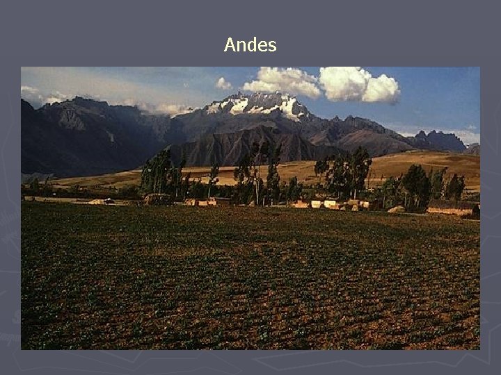 Andes 