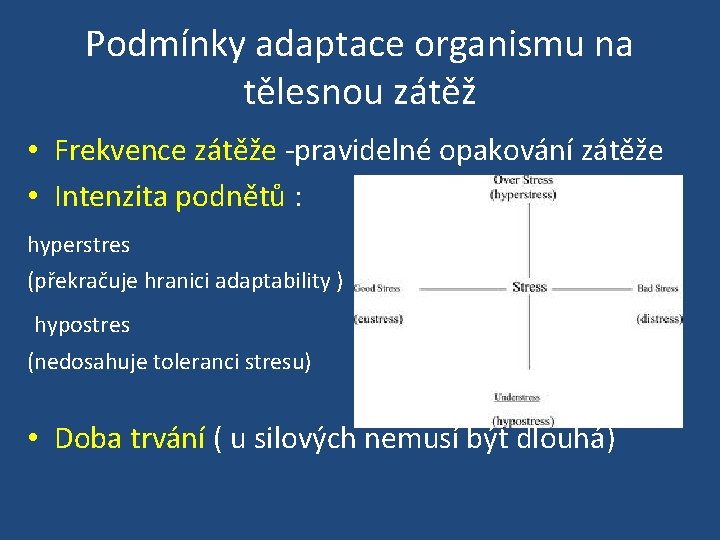 Podmínky adaptace organismu na tělesnou zátěž • Frekvence zátěže -pravidelné opakování zátěže • Intenzita